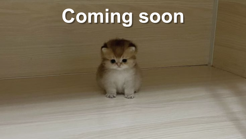 Coming Soon